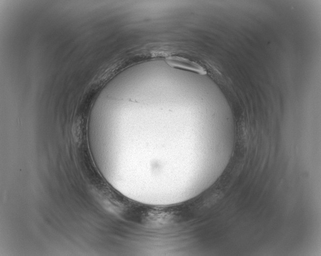 X0000078870311200612042005