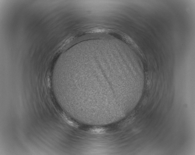 X0000078870313200612042005