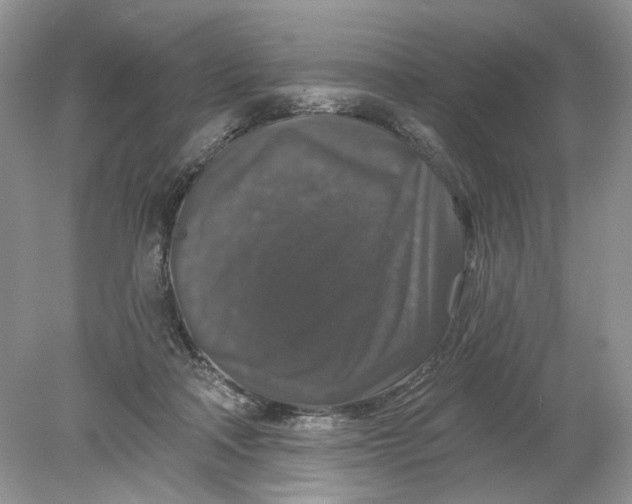 X0000078870314200612042005