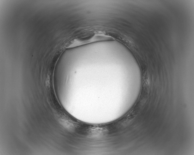 X0000078870315200612042005