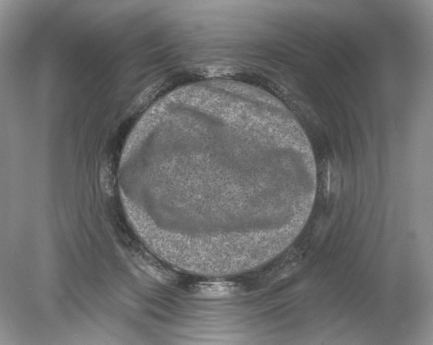 X0000078870316200612042005