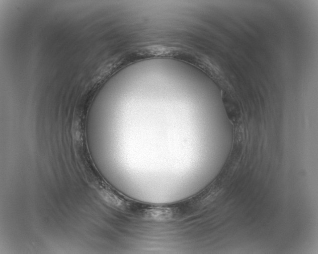 X0000078870317200612042005