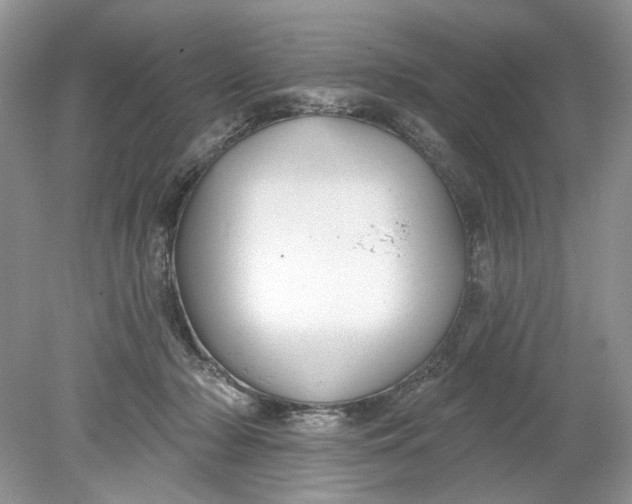 X0000078870318200612042005