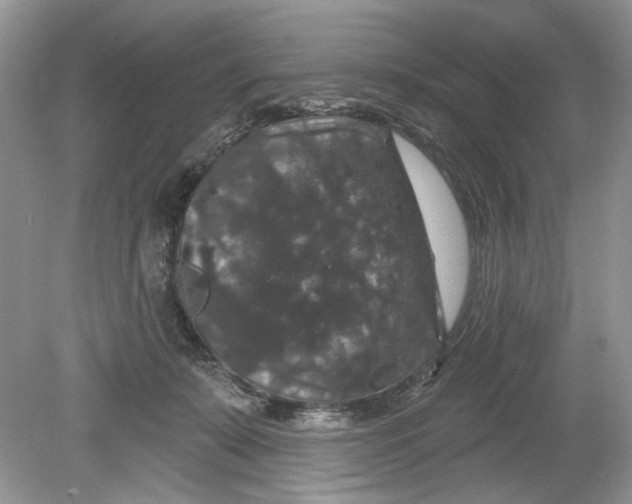 X0000078870319200612042005