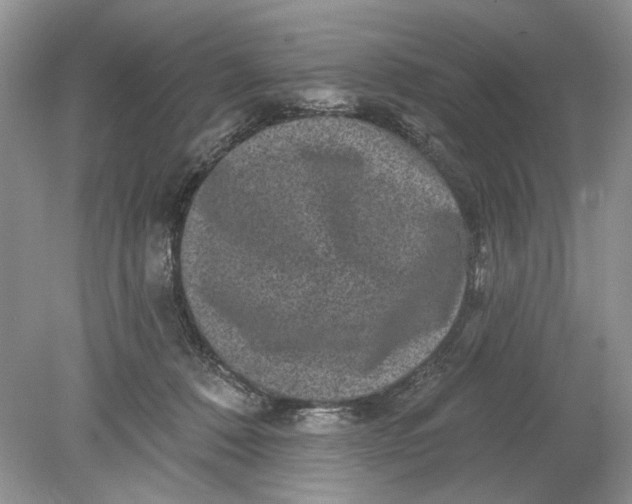 X0000078870320200612042005