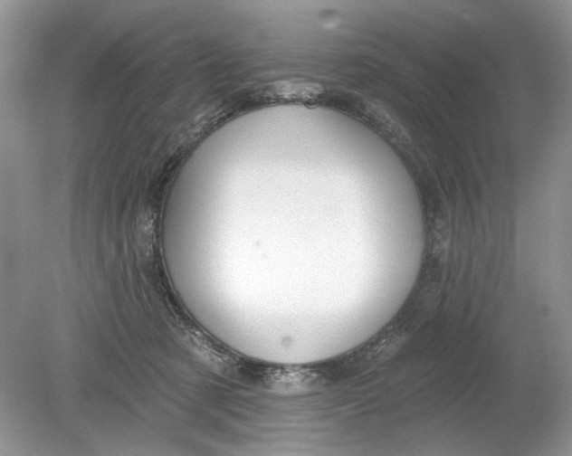 X0000078870321200612042005