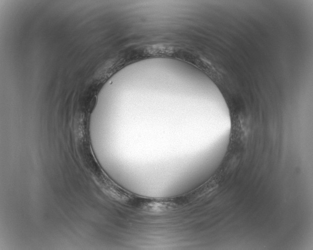 X0000078870323200612042005