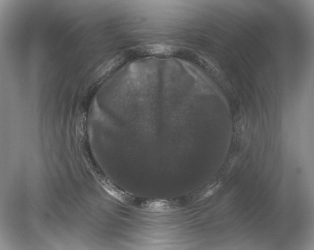 X0000078870325200612042005