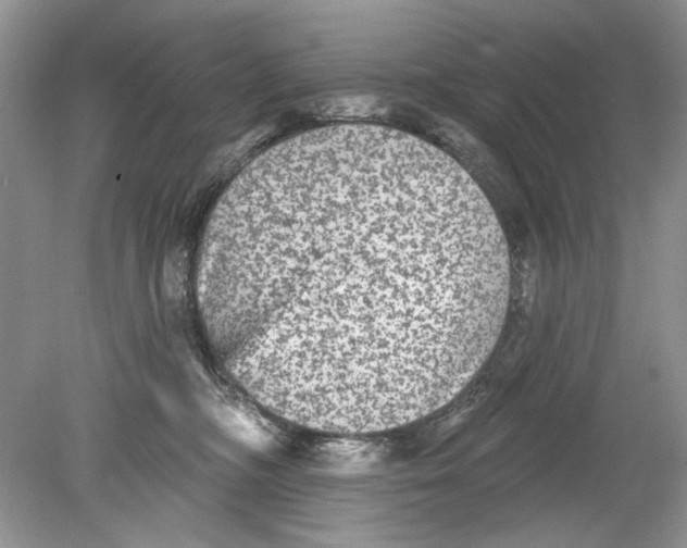 X0000078870326200612042005