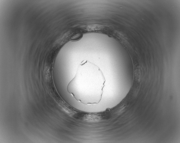 X0000078870327200612042005