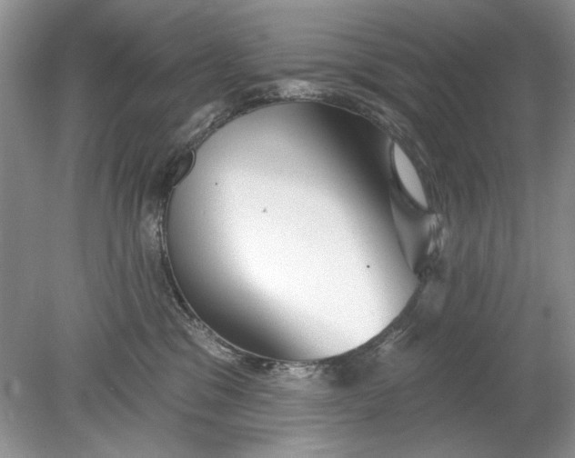 X0000078870329200612042005