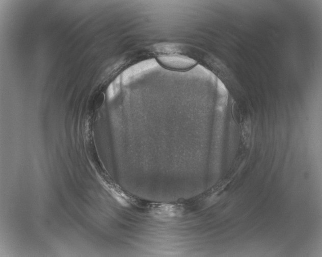 X0000078870330200612042005