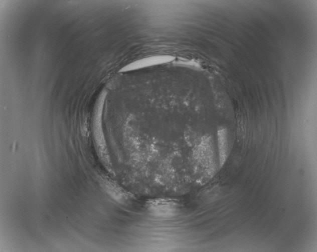 X0000078870331200612042004