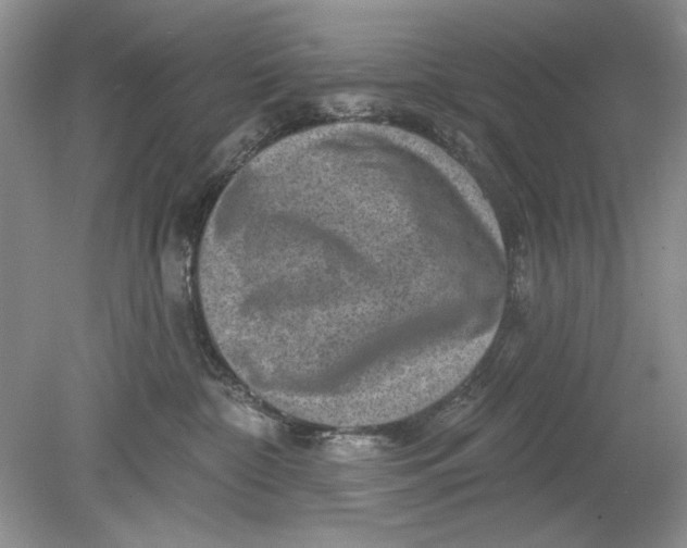 X0000078870332200612042004