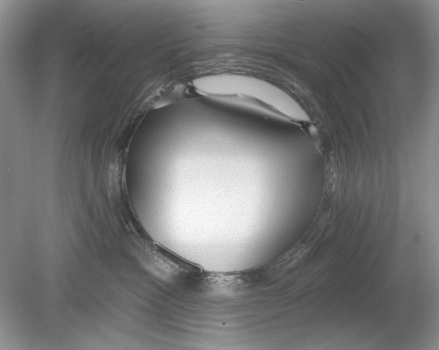 X0000078870333200612042004