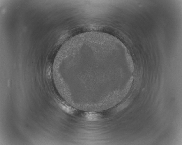 X0000078870336200612042004