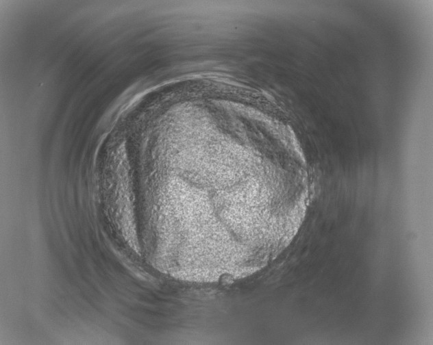 X0000078870339200612042004