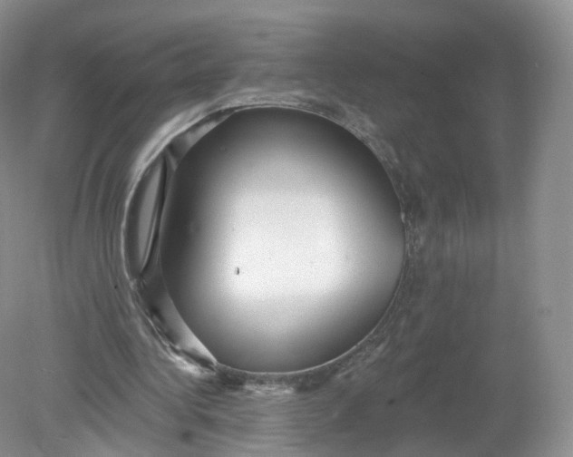 X0000078870340200612042004