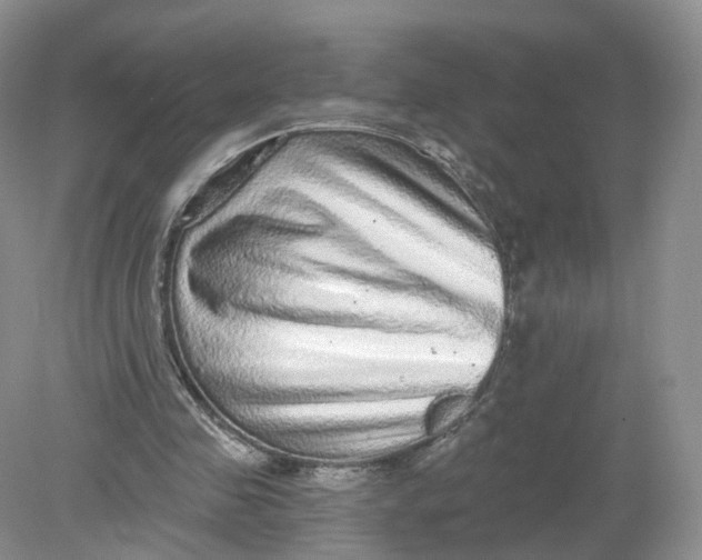 X0000078870341200612042004