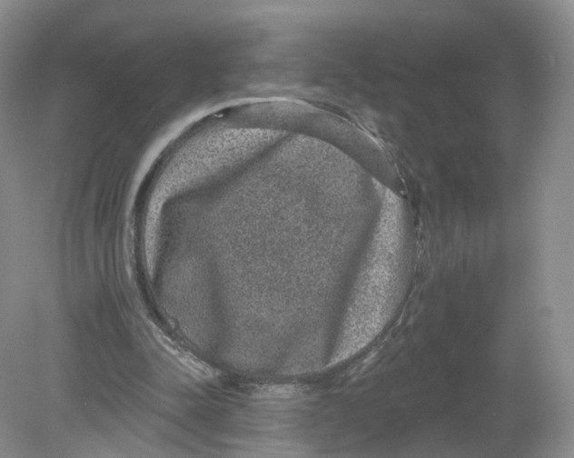 X0000078870342200612042004