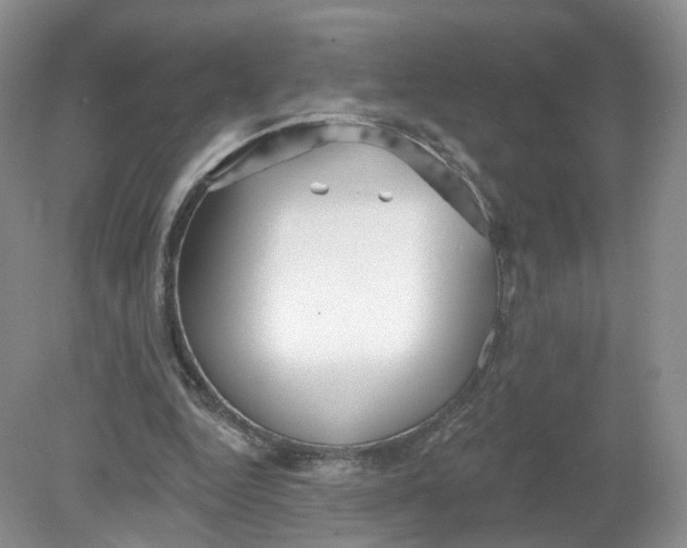 X0000078870344200612042004