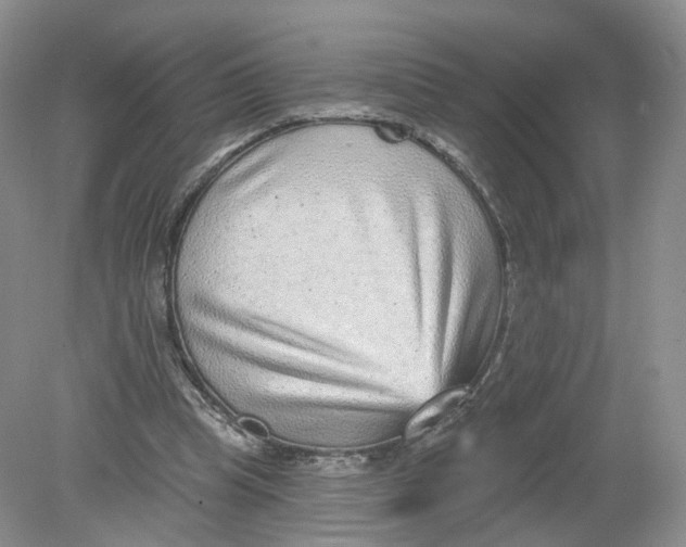 X0000078870345200612042004