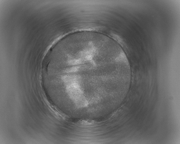 X0000078870346200612042004