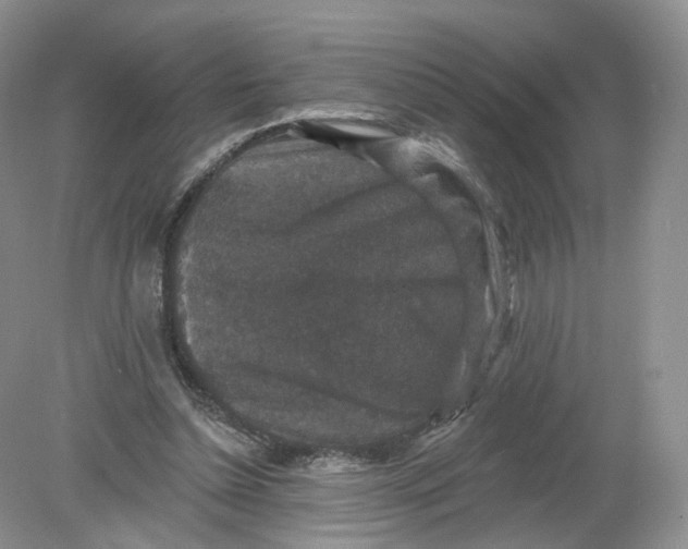 X0000078870348200612042004