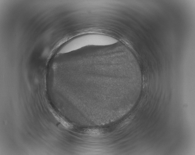 X0000078870349200612042004