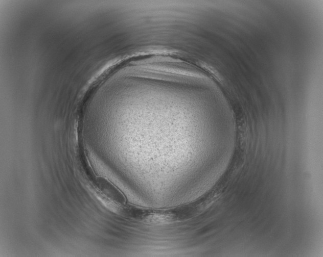 X0000078870350200612042004