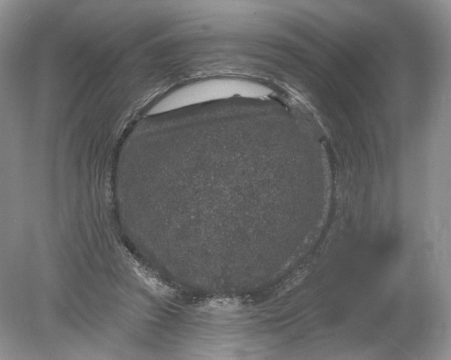 X0000078870353200612042004