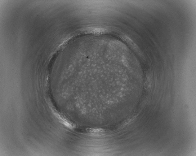 X0000078870355200612042004