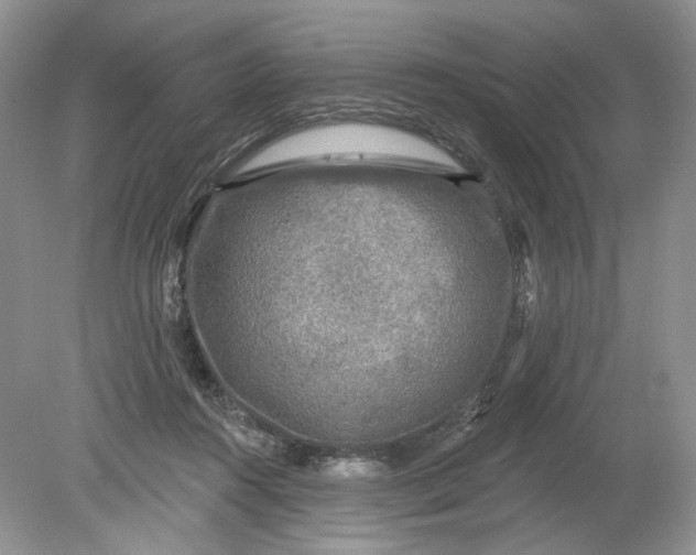 X0000078870360200612042004