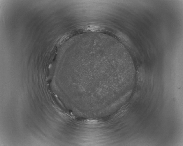 X0000078870361200612042004