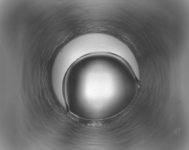 X0000078870362200612042004