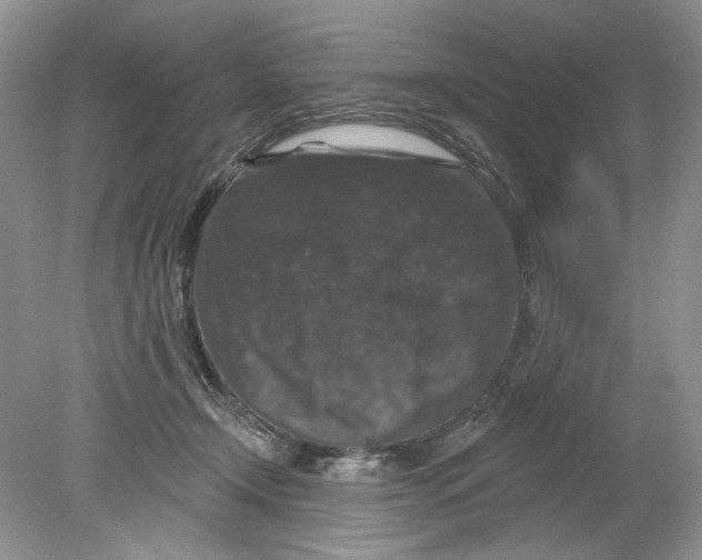 X0000078870366200612042004