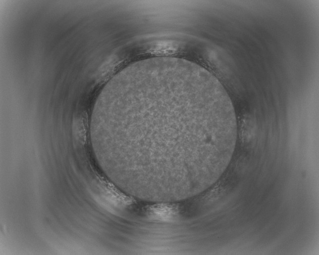 X0000078870370200612042004