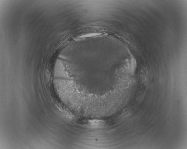 X0000078870371200612042004