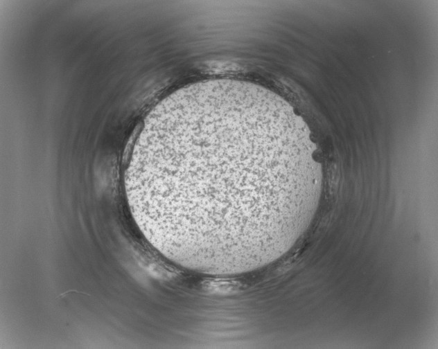 X0000078870372200612042004