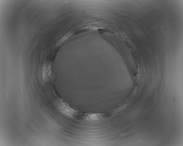 X0000078870382200612042004