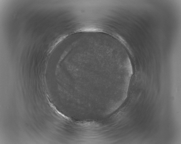 X0000078870385200612042004