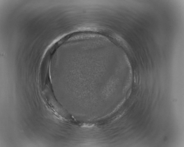 X0000078870388200612042004