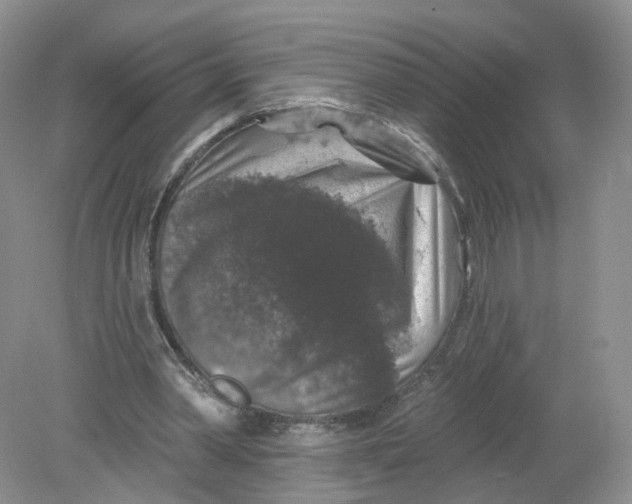 X0000078870390200612042003