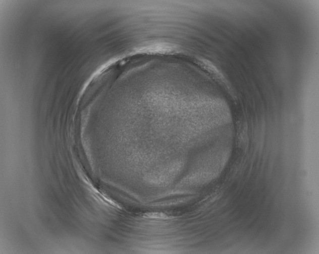 X0000078870392200612042003