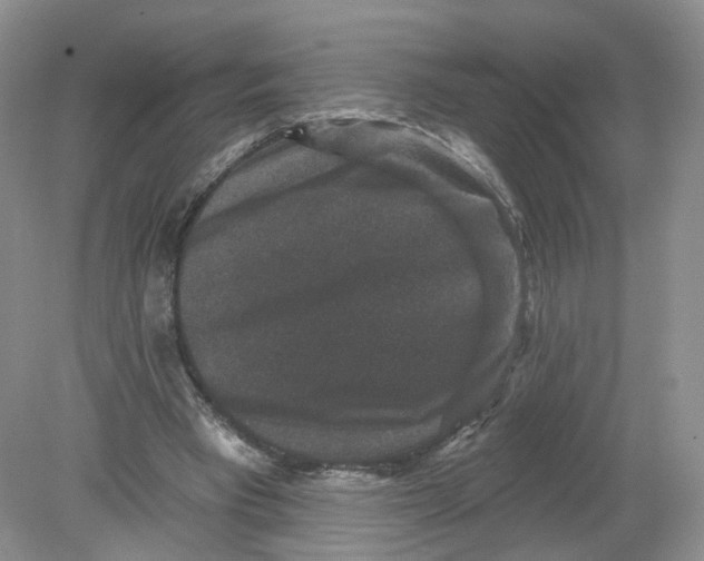 X0000078870393200612042003