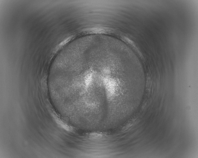 X0000078870394200612042003