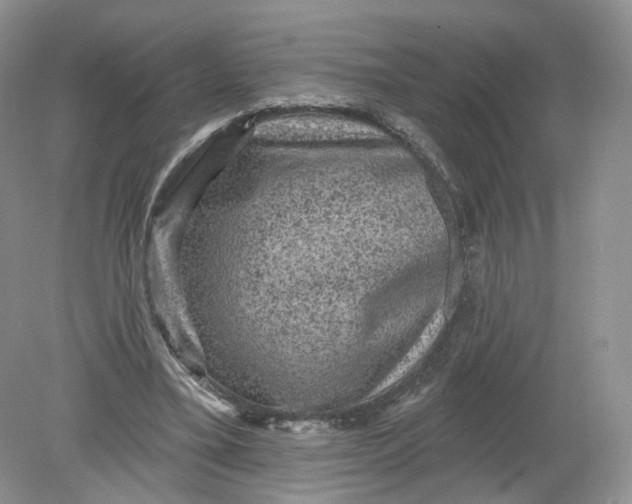 X0000078870395200612042003