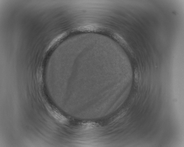 X0000078870396200612042003