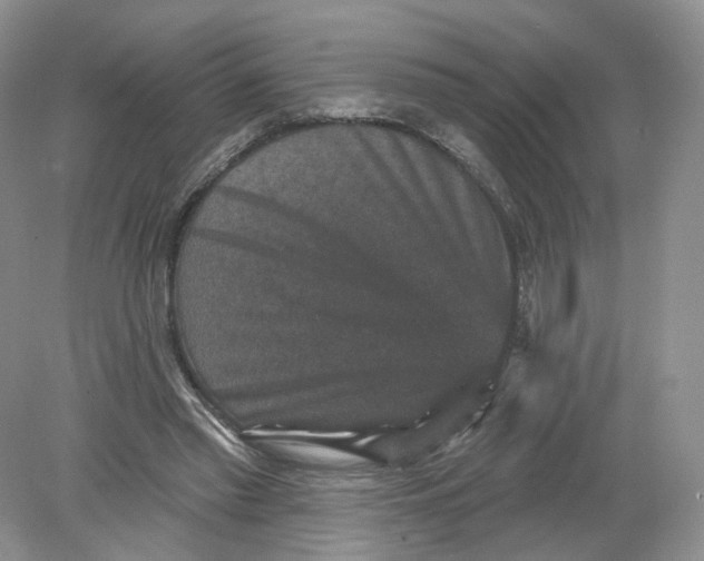 X0000078870397200612042003