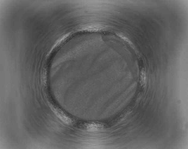 X0000078870400200612042003